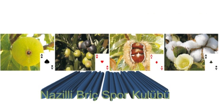 NAZİLLİ BRİÇ SPOR KULÜBÜ Logo