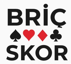 Bricskor Logo